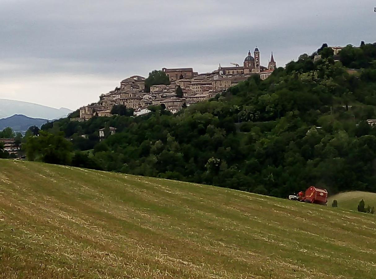 B&B Il Monchetto Urbino Exteriör bild
